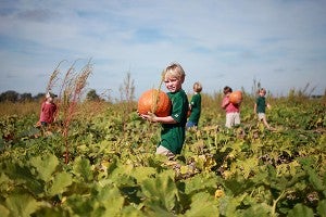 Joseph Beidleman, 6, carries a pumpkin out of the patch Wednesday morning during a field trip to Farmer Jim's Pumpkin Patch and Corn Maze in Rolling Fork. (Justin Sellers/The Vicksburg Post)