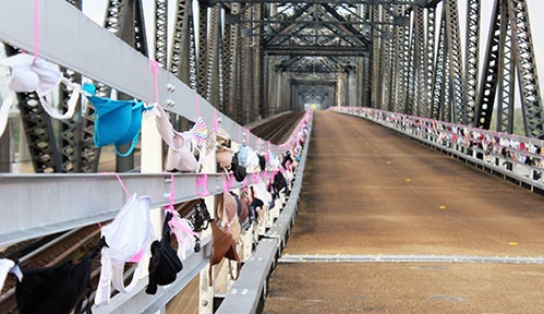 Bras Along the Bridge focuses on breast cancer - The Vicksburg
